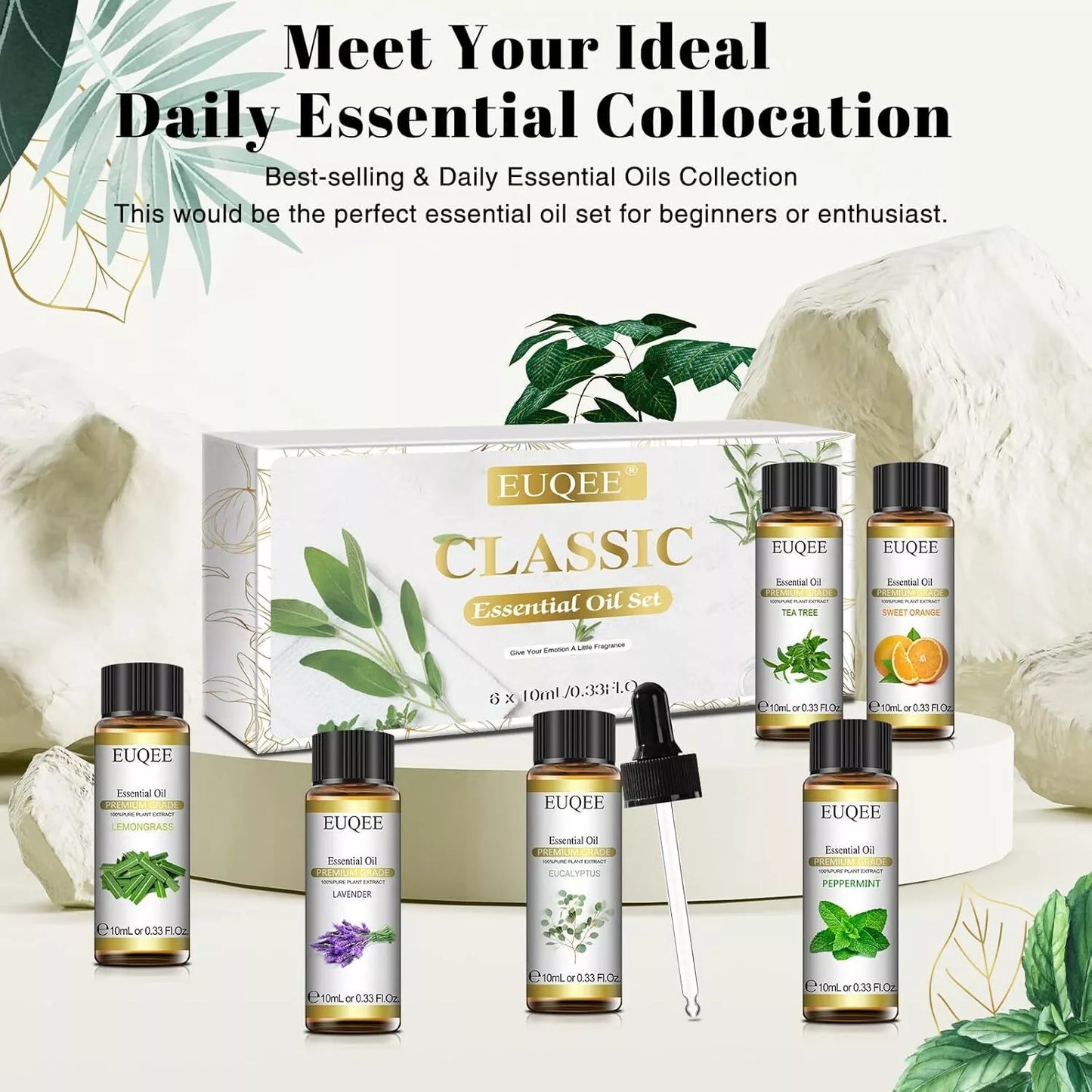 Classic Essential Oil Set of 6 Pure Oil Gift Set for Diffusers Soap Candle Making 6x10ml