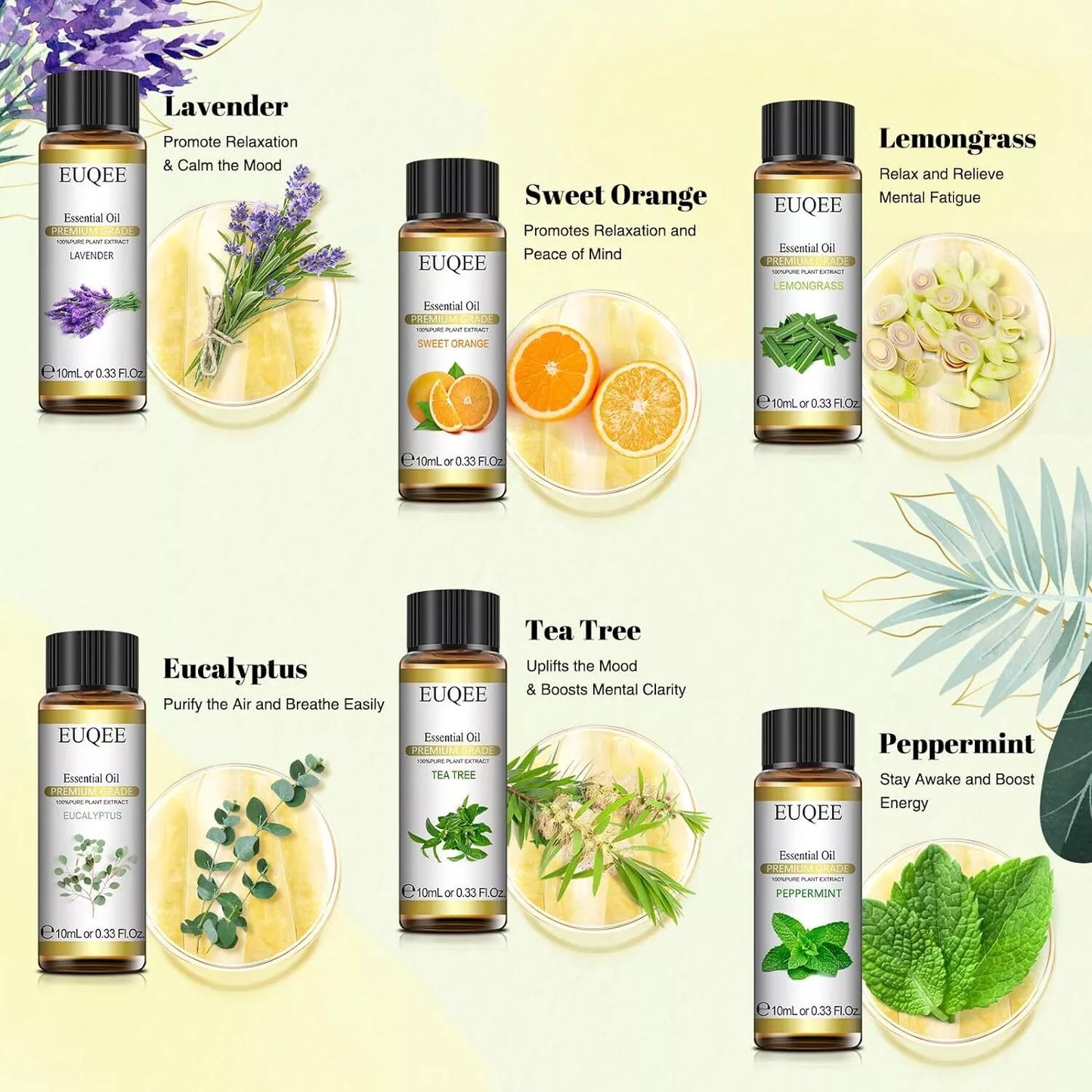 Classic Essential Oil Set of 6 Pure Oil Gift Set for Diffusers Soap Candle Making 6x10ml