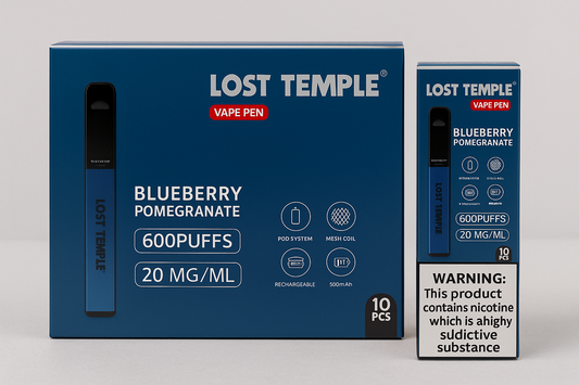Lost Temple® Blueberry Pomegranate 600 Puffs Vape Pen | 20mg/ml Nicotine | Rechargeable Mesh Coil Pod System (10 Pack)