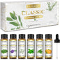 Classic Essential Oil Set of 6 Pure Oil Gift Set for Diffusers Soap Candle Making 6x10ml