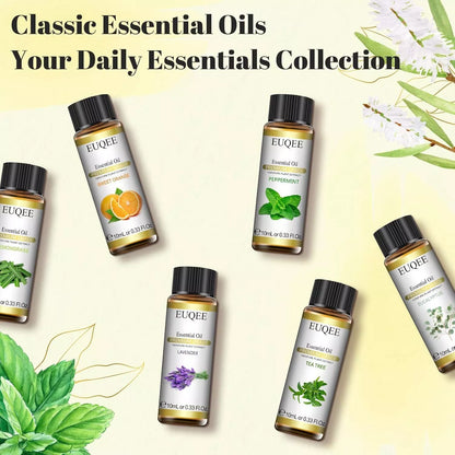 Classic Essential Oil Set of 6 Pure Oil Gift Set for Diffusers Soap Candle Making 6x10ml