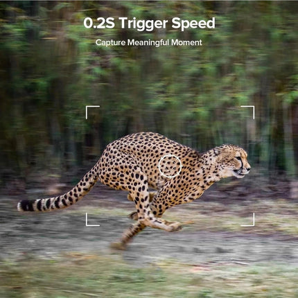 Night Vision Goggles, Outdoor Trail Camera 20MP 940nm Infrared Night Vision Motion Activated Trigger 0.2s Game Camera IP66 Wildlife Photo Trap